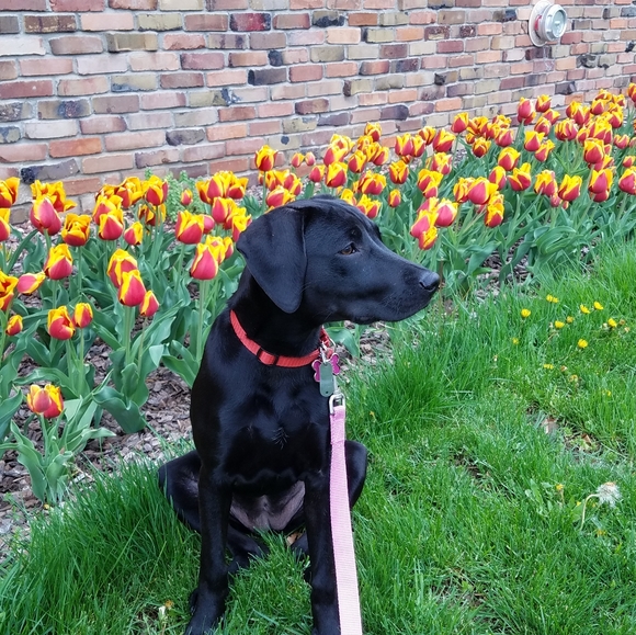 Meet your Posher, Angela - Picture 1 of 1